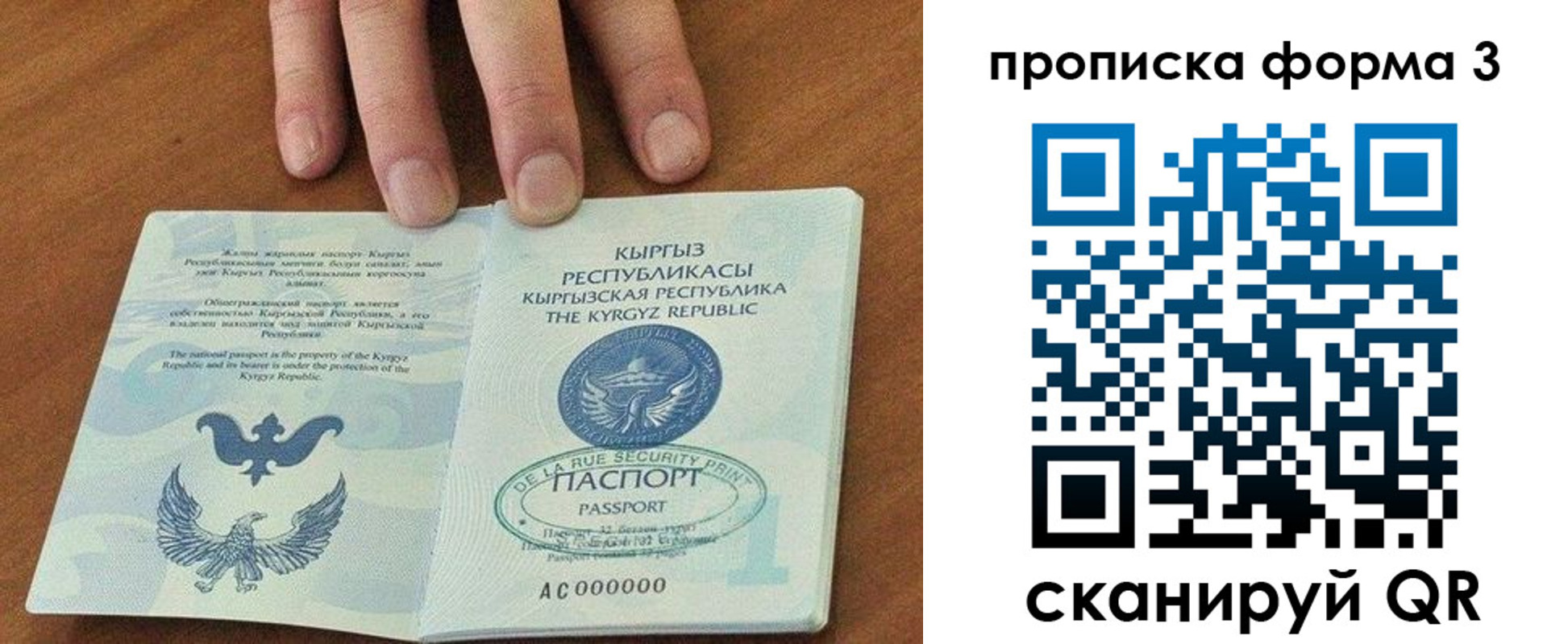 регистрация в Завитинске
